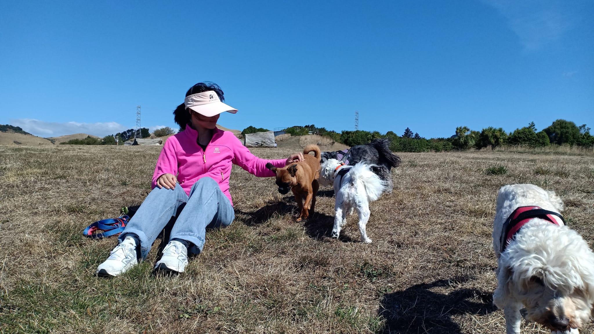 me and a few dogs relaxing on grass